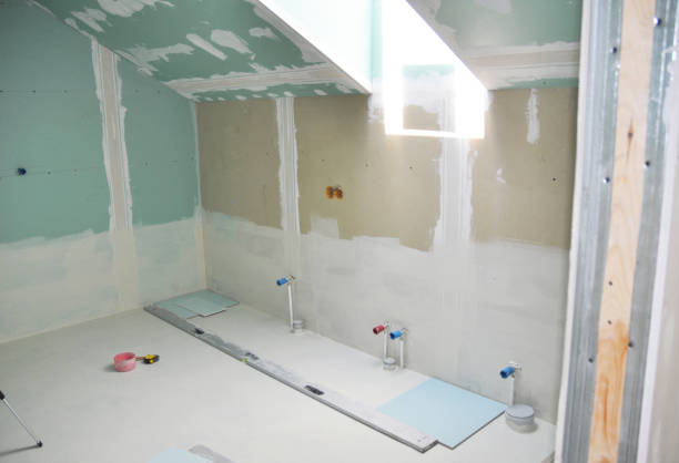  Dane, WI Mold Removal Pros