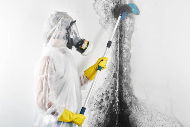 Best Indoor Air Quality Assessment  in Dane, WI