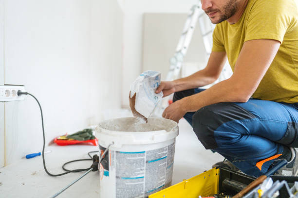Best Asbestos and Lead Testing During Mold Inspection  in Dane, WI