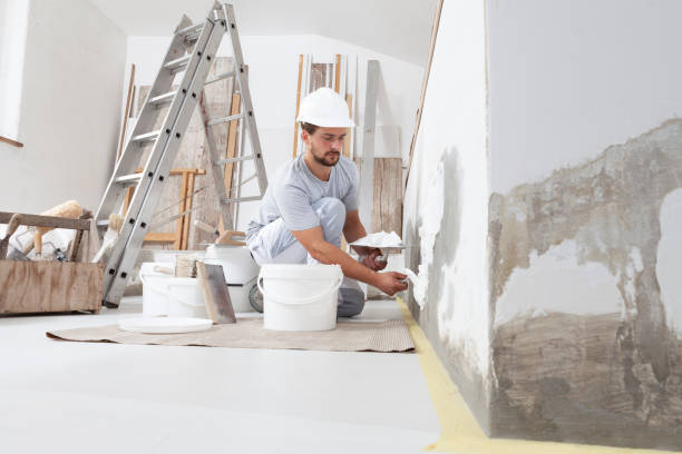 Best Dehumidification Services  in Dane, WI