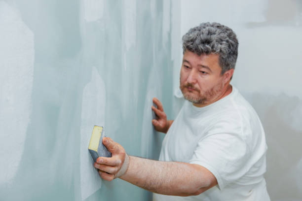 Best Residential Mold Inspection & Testing  in Dane, WI
