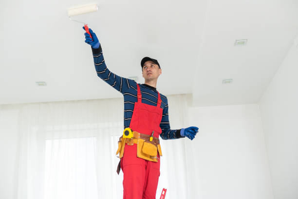Best Real Estate Mold Inspection  in Dane, WI