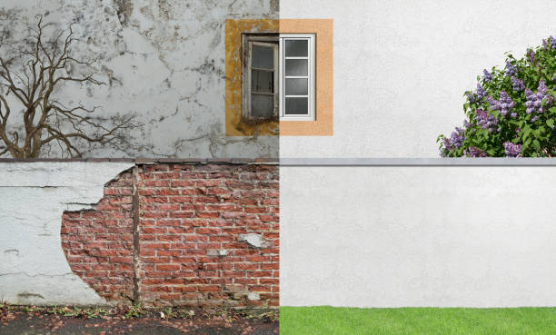 Best Basement Mold Removal  in Dane, WI