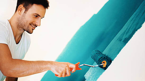 Reliable Dane, WI Mold Removal Solutions